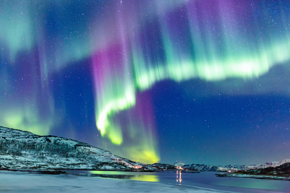 northern light cruise tromso